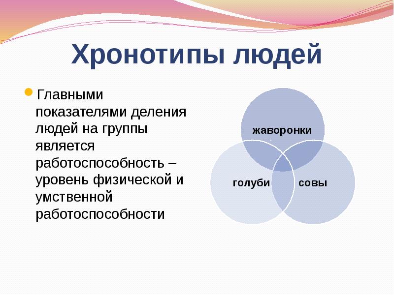 Деление людей. Хронотипы. Хронотипы человека. Хронотипы биоритмов. Презентация на тему хронотипы человека.