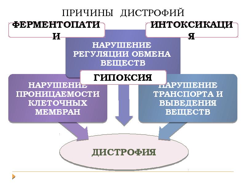 Повреждения дистрофии презентация