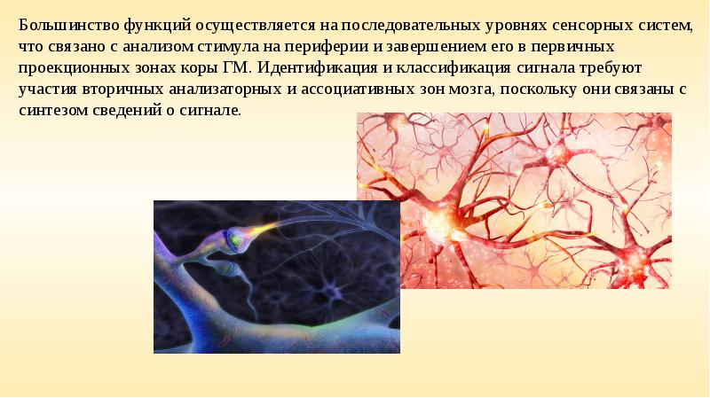 Интеллектуальные сенсорные системы презентация