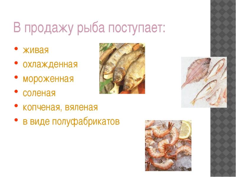 Морепродукты презентация по технологии 6 класс