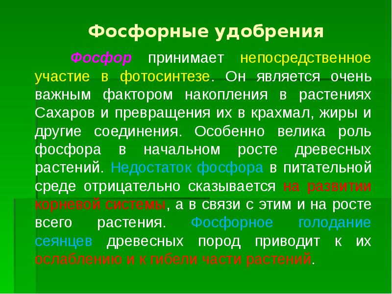 Презентация 9 класс образование и наука