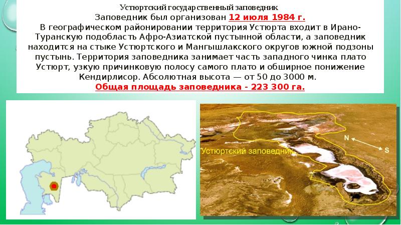 Заповедник устюртский презентация