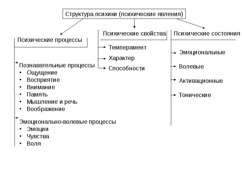 Структура психических явлений