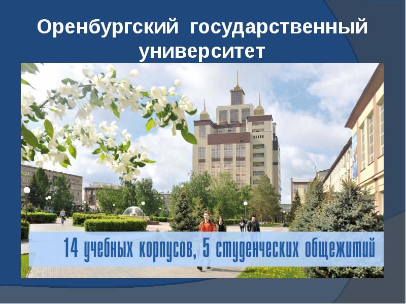 Оренбургский государственный университет