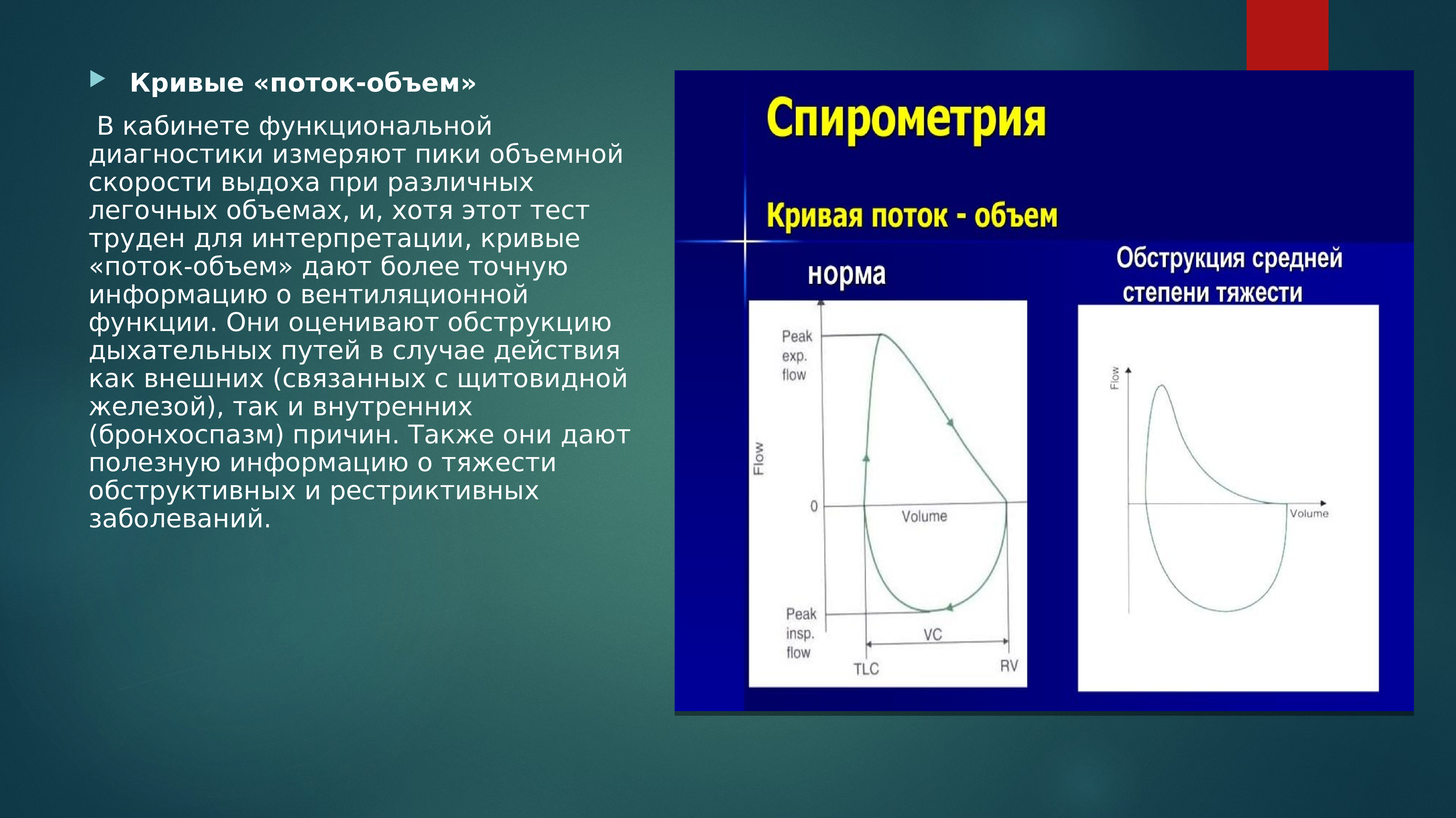 Количество кривой. Кривая поток объем. Кривая поток объем на спирометрии. Тест поток-объем. График поток объем.