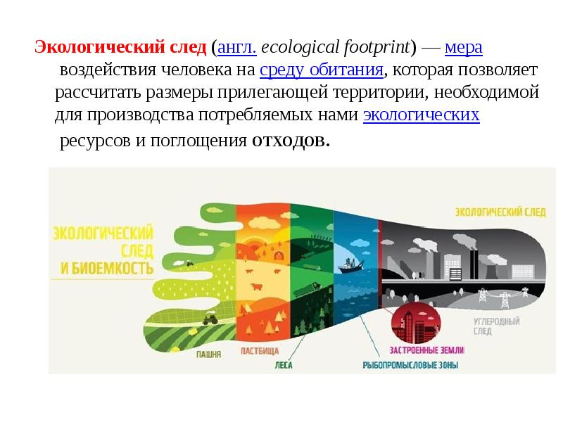 Экологический след презентация