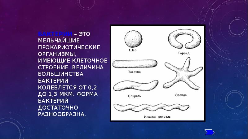 Какие организмы не имеют клеток