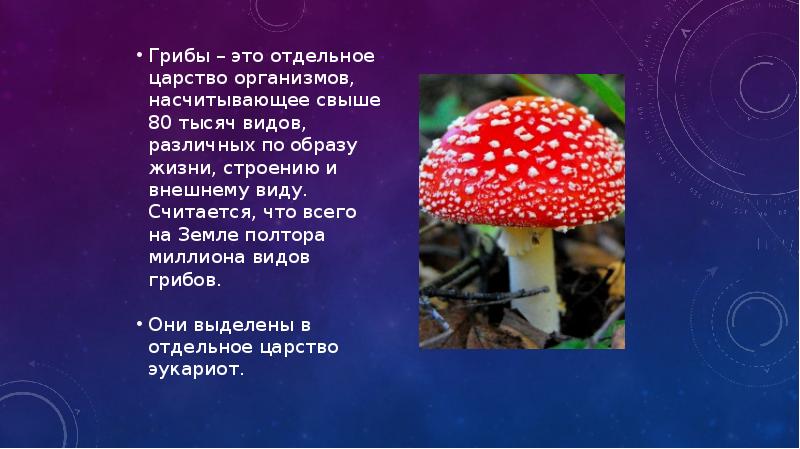 Почему грибы отдельное царство