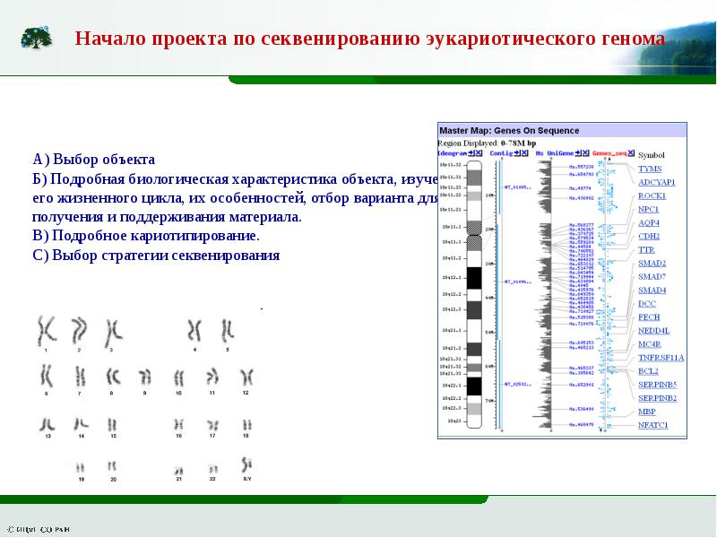 Секвенирование днк презентация