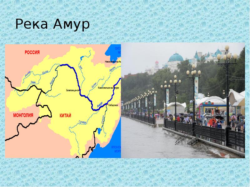 Река амур проект