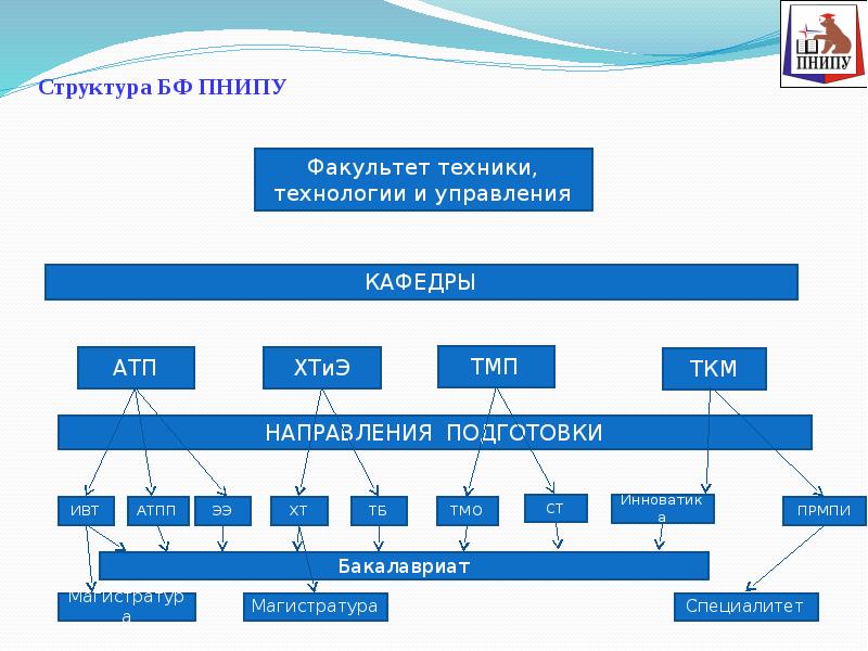 Структура благотворительного фонда в схеме