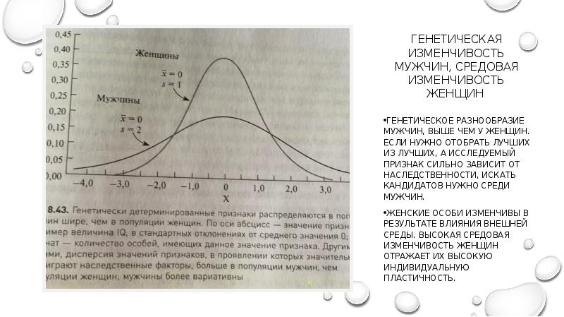 Анатомические и функциональные различия мозга у мужчин и женщин