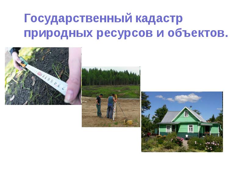 Государственный кадастр природных ресурсов и объектов.   Государственный кадастр природных