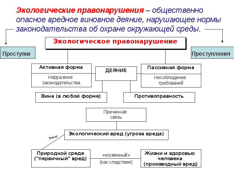 Экологические права презентация 10 класс