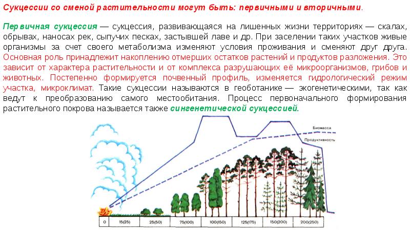 Экологиялық сукцессия презентация