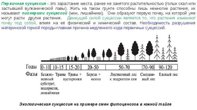 Динамика экосистем презентация 11 класс