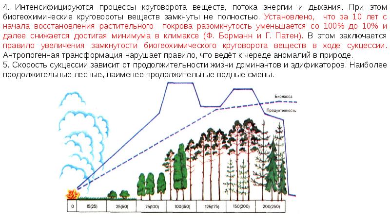 Презентация динамика экосистем