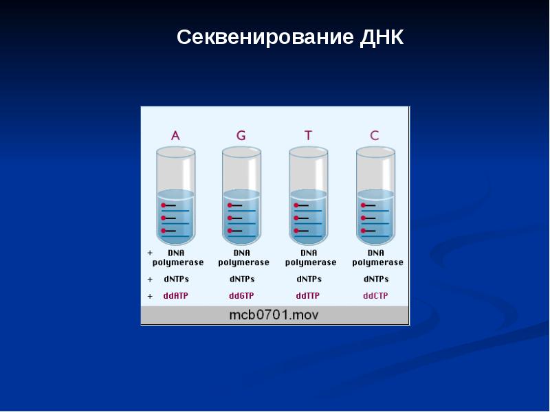 Секвенирование днк. Секвенирование рекомбинантных ДНК. Секвенирование ДНК-полимераза 1. Секвенирование 3 поколения.