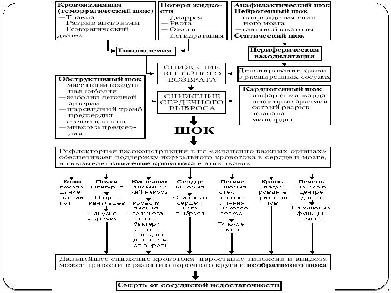 Схема патогенеза кардиогенного шока