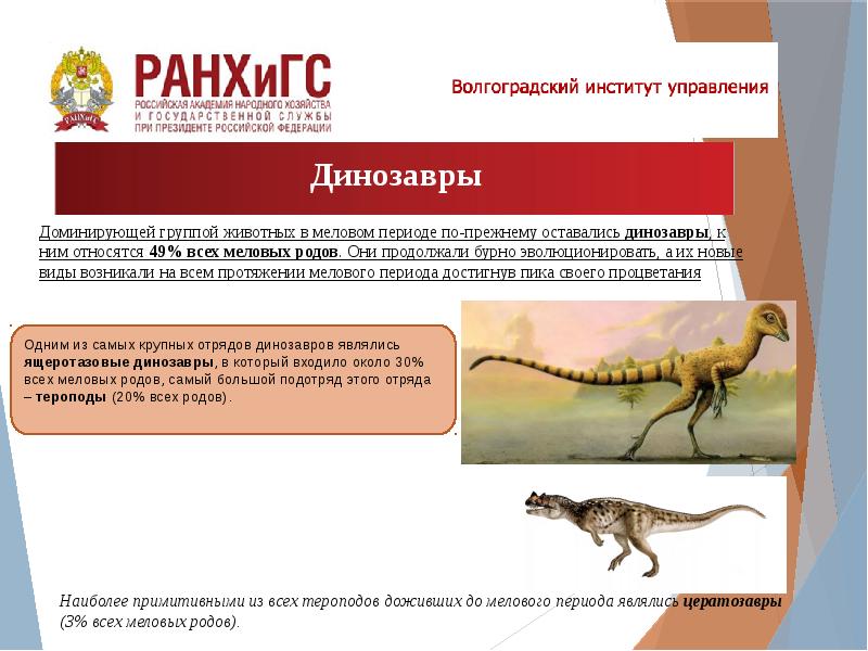 Меловой период презентация 9 класс