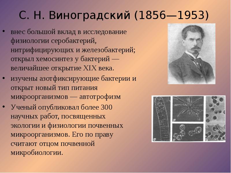 Ученый страна открытие. С Н Виноградский хемосинтез. Виноградский вклад в микробиологию. Сергей Николаевич Виноградский, выдающийся русский микробиолог. Виноградский микробиология.