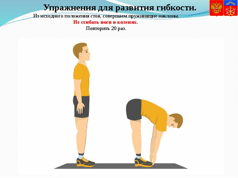 Упражнения для развития гибкости.  Из исходного положения стоя, совершаем пружинящие