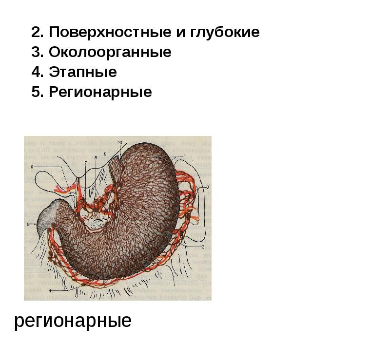 регионарные регионарные