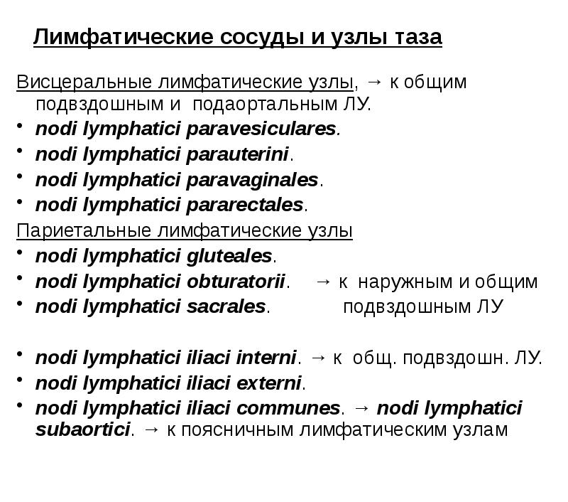 Лимфатические сосуды и узлы таза
Висцеральные лимфатические узлы, → к общим Лимфатические сосуды и узлы таза
Висцеральные лимфатические узлы, → к общим