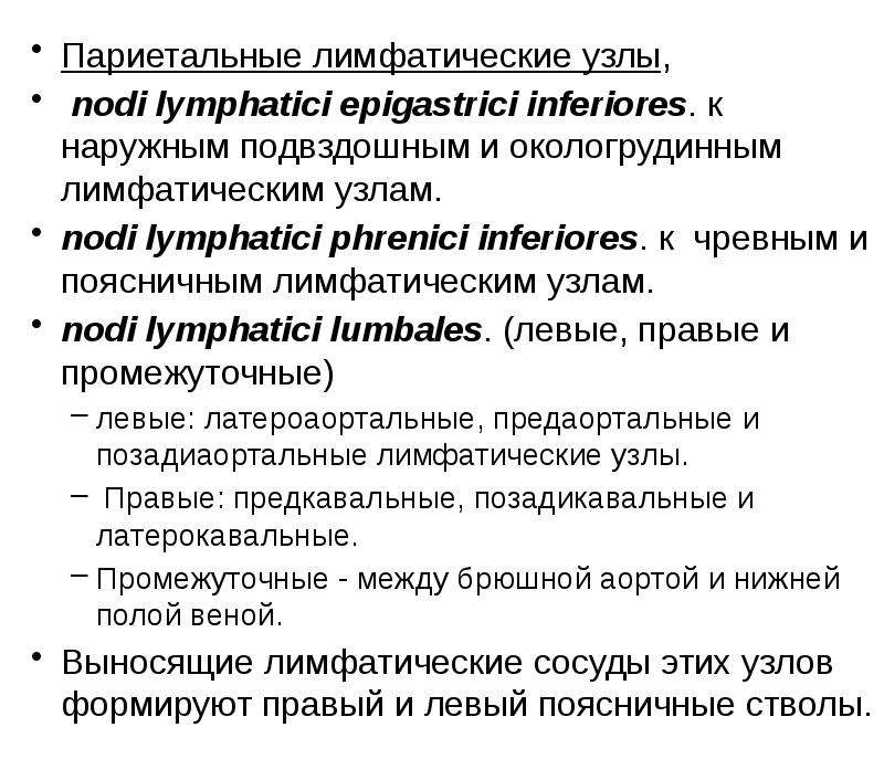Париетальные лимфатические узлы,
Париетальные лимфатические узлы,
nodi lymphatici Париетальные лимфатические узлы,
Париетальные лимфатические узлы,
nodi lymphatici