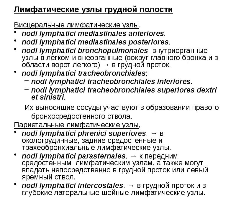 Лимфатические узлы грудной полости
Висцеральные лимфатические узлы,
nodi lymphatici Лимфатические узлы грудной полости
Висцеральные лимфатические узлы,
nodi lymphatici