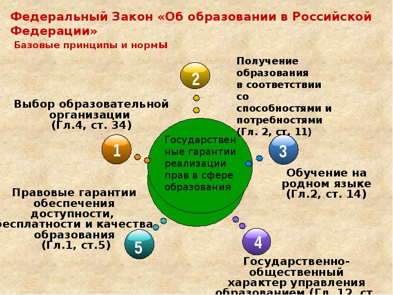 Образование в российской федерации презентация