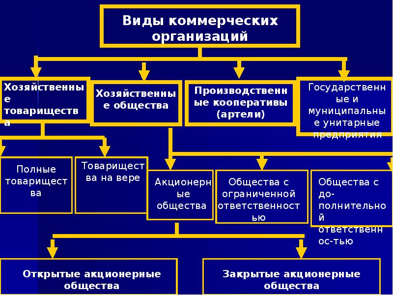 Общество с ограниченной ответственностью бизнес проект