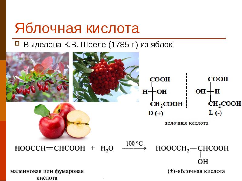 Яблочная кислота Выделена К.В. Шееле (1785 г.) из яблок