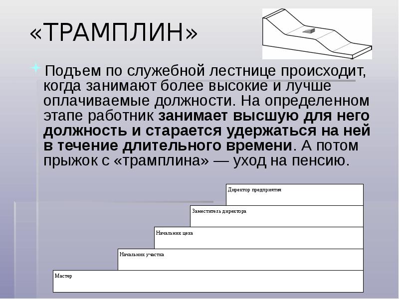 На определенном этапе. Ступени должностей. Должностной рост продвижение по служебной лестнице это. Стадия продвижения работника по служебной лестнице. Стадии служебной лестницы.