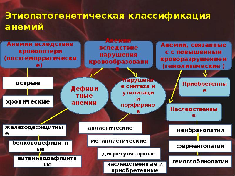 Анемии патофизиология презентация