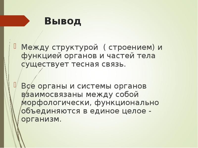 Между заключением. Система органов вывод по всем органом. Вывод о строении аоьос. Как тесно связаны строение органов и его функций, примеры.