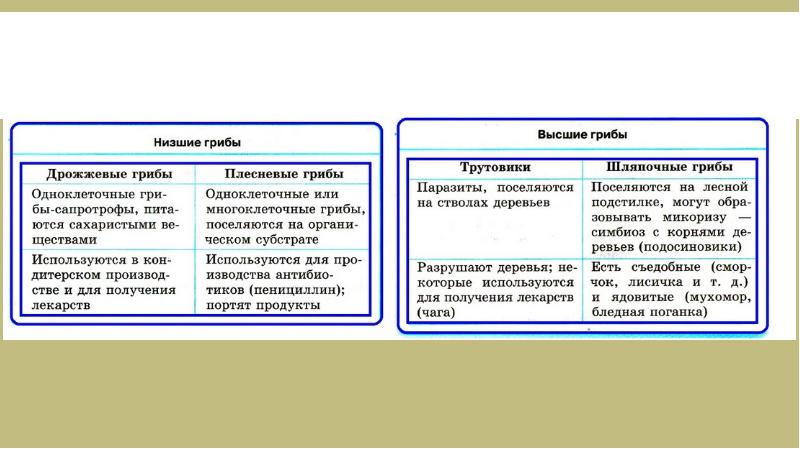 Общая биология презентация огэ