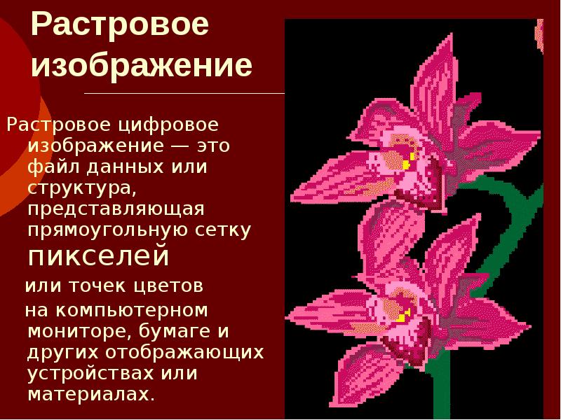 Растровое изображение сколько цветов. Растровая Графика. Растровая Графика картинки. Растровое изображение цифровое изображение. Растровое изображение цветок пример.