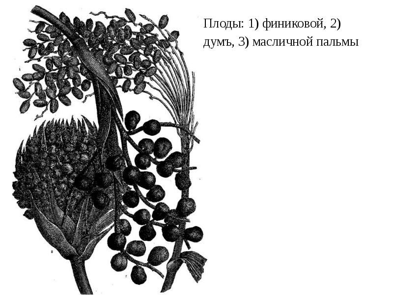 Народоведение 2 класс презентация