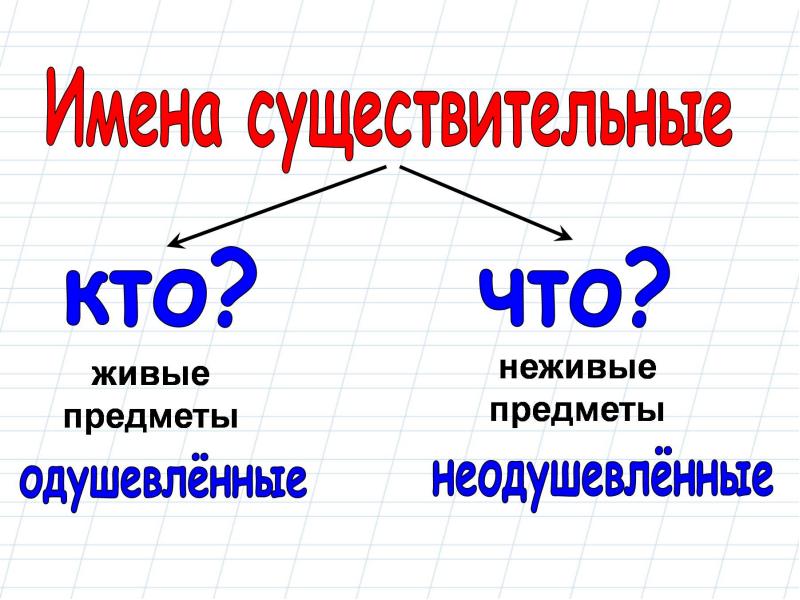 Одушевленное и неодушевленное имя существительное 5 класс презентация