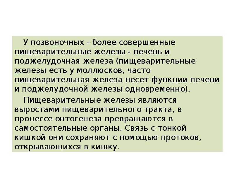 У позвоночных - более совершенные пищеварительные железы - печень и поджелудочная