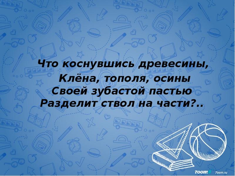 Что коснувшись древесины,   Клёна, тополя, осины Своей зубастой пастью