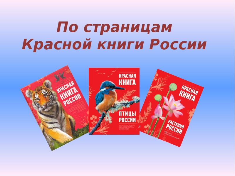 Твоя красная книга. Красная книга России. По страницам красной книги России. Красная книга России красная странички. Конкурс по страницам красной книги.