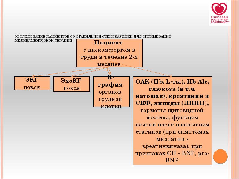 Обследование пациентов со стабильной стенокардией для оптимизации медикаментозной терапии Обследование пациентов со стабильной стенокардией для оптимизации медикаментозной терапии