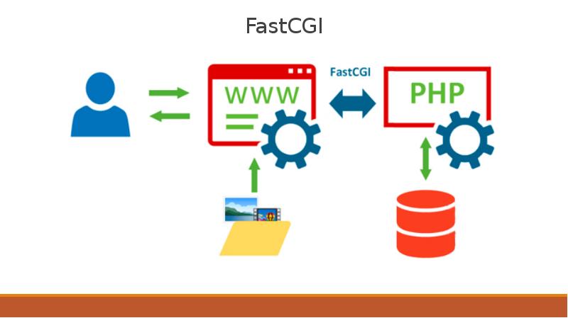 Fastcgi. Fastcgi. Fastcgi. Fastcgi. Fastcgi vs cgi.
