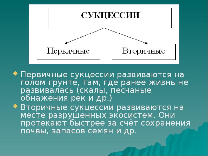 Динамика экосистем презентация 11 класс