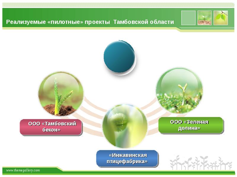 Ооо зеленый. ООО «зелёная мера». ООО зеленый век. ООО зеленая лига. Инжавинская птицефабрика официальный сайт график автобусов ресурс.