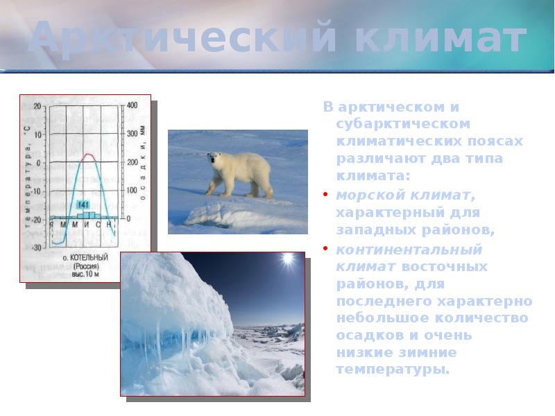 Полярный климат описание