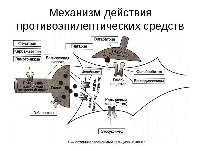 Противоэпилептические препараты фармакология презентация