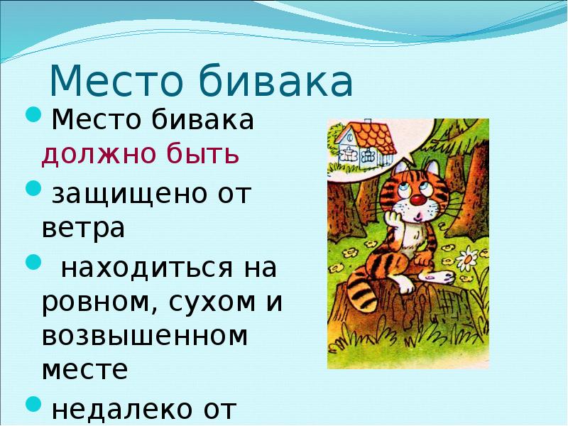 Определенное место. Место для бивака. Определение места для бивака. Выбрать место для бивака. Подготовка места для бивака.